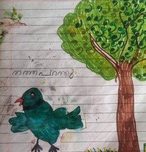 24668-TSR-KUNJ-ISHAAN A S.jpg