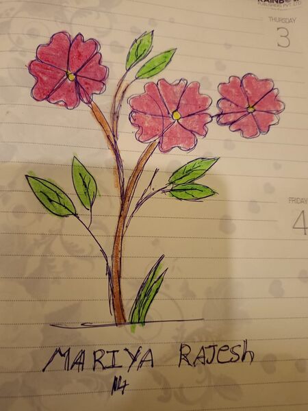 പ്രമാണം:31049-KTM-KUNJ-MARIA RAJESH.jpg