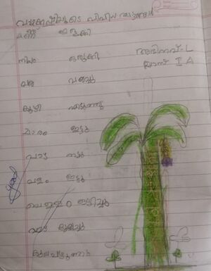 34201-ALP-KUNJU-ABHINAV L.jpg