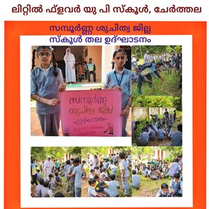 34250CLEAN ALLEPPEY.jpg