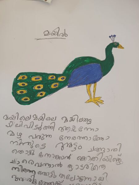 പ്രമാണം:35229-ALP-KUNJ-FATHIMA MEHRIN ID.jpg