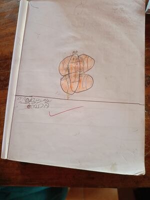 40309-KLM-KUNJ-AROMAL BIJU.jpeg