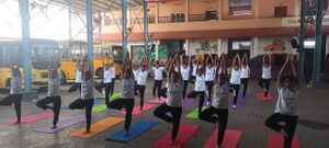 43035 yoga day2.jpg
