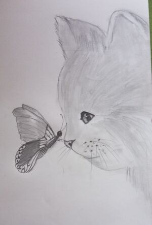 44055 1harikrishnan8b.jpeg