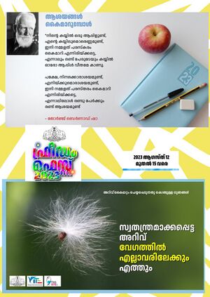 45001 freedom fest poster 4.jpeg