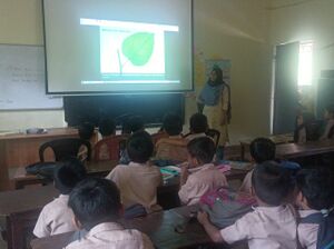 47209 Typs of leaves.jpeg