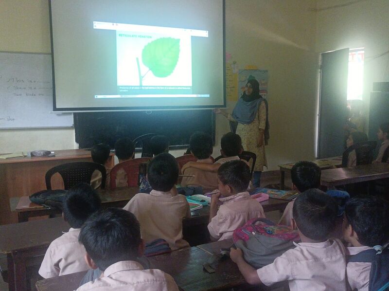 പ്രമാണം:47209 Typs of leaves.jpeg