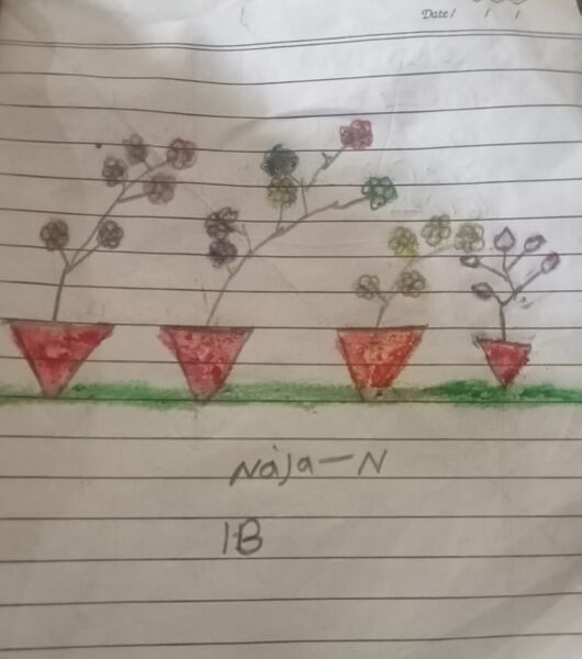 പ്രമാണം:48503-MLP-KUNJ-NAJA N.jpeg