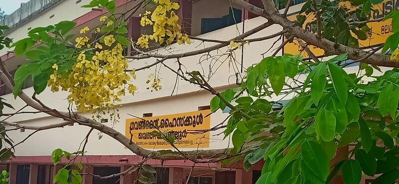 പ്രമാണം:GHS West kadungalloor.jpeg