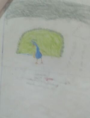 IMG 20240321 122006.jpg