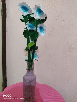 P52WhatsApp Image 2022-01-29 at 6.57.54 PM.jpeg