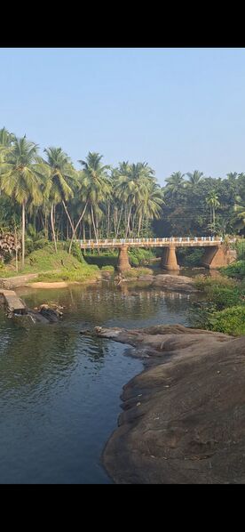 പ്രമാണം:Thatharamkavilkunnu Puzha.jpg