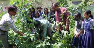 12036 vilaveduppu feb 25 2025 2.JPG