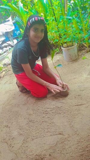 16256 paristhithi dinam1.jpg