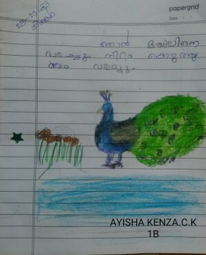 19077-MLP-KUNJ-AYISHA KENZA CK(1B).jpeg