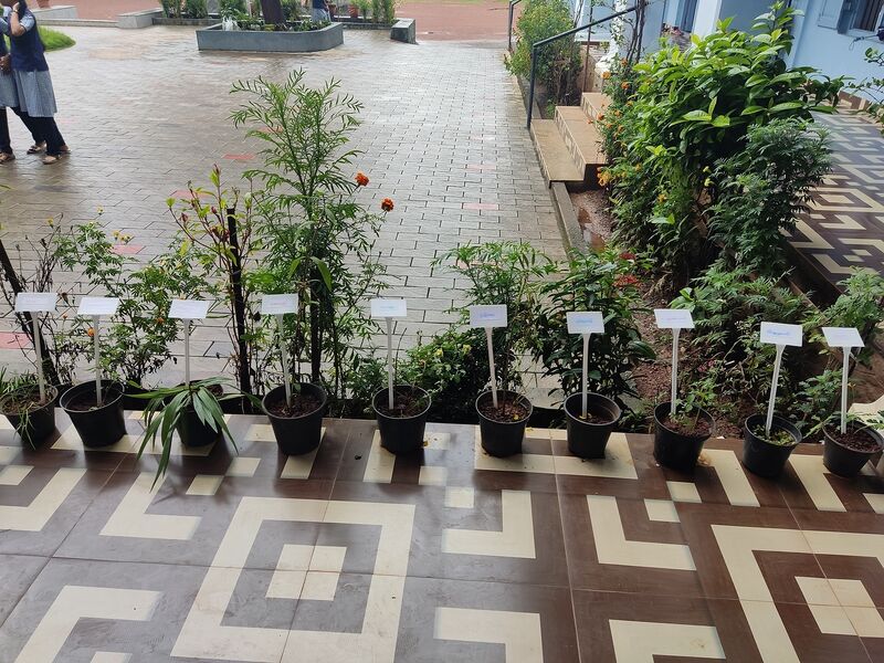 പ്രമാണം:22076 dasapushpam.resized.jpg