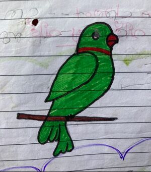 24272-TSR-KUNJ-MUHAMMED ESSA.jpg