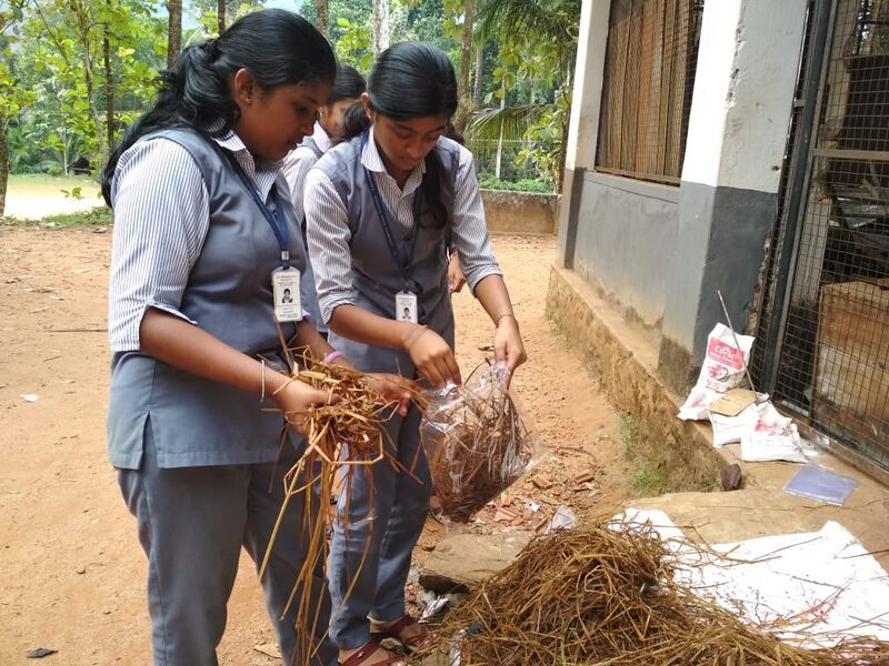 പ്രമാണം:29032 806.jpg