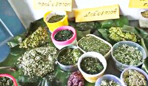 29312 bhakshyamela3.jpg