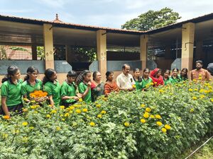 42008 flower2504.jpg