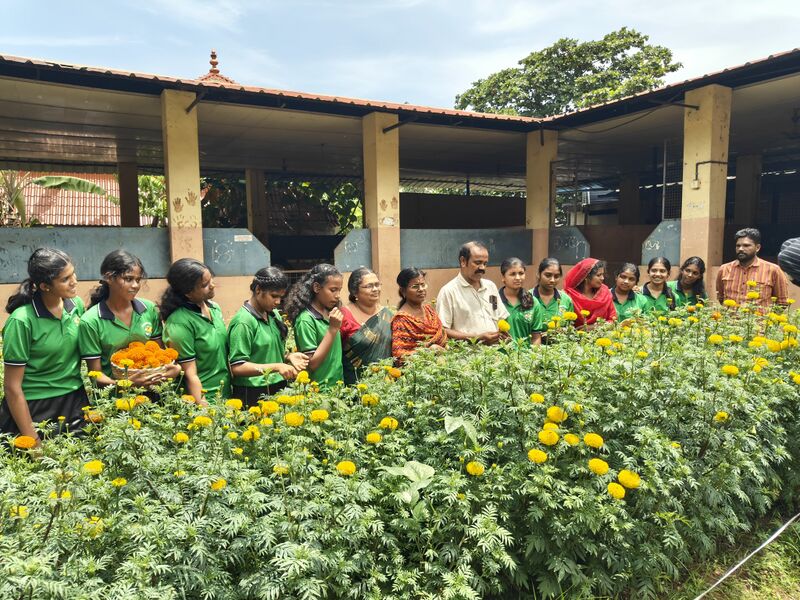 പ്രമാണം:42008 flower2504.jpg