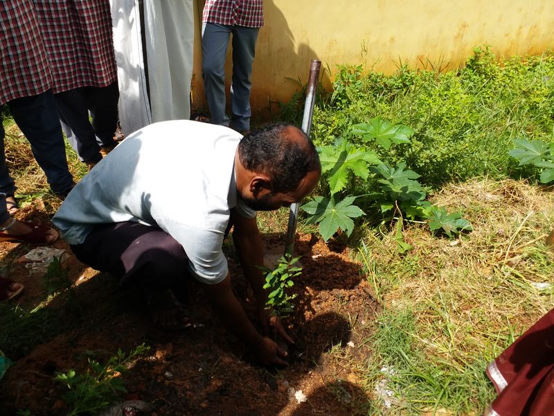 പ്രമാണം:44029 276.jpg