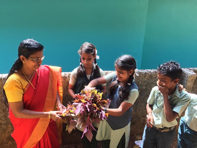 പ്രമാണം:44036 jaipark.jpeg