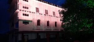 BS21 ALP 35046 10.jpg