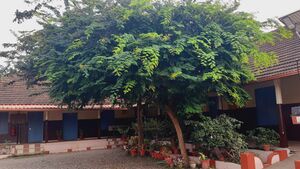 03020 STBCHS THANALMARAM.jpg