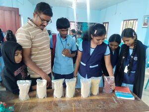 15019 MILLET DAY1.jpg