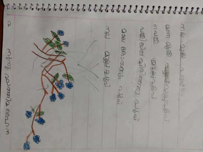 പ്രമാണം:18331-MLP-KUNJ-FATHIMA HAINA.jpg