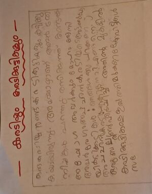 18604 MLM kunj adil.jpeg