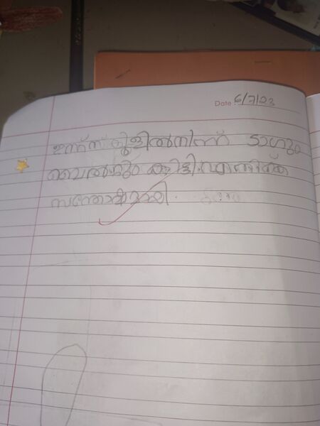 പ്രമാണം:19738-MLP-KUNJ-MOHAMMED RABEEH T P.jpg