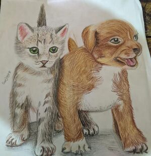 21098+drawing up 2.jpg