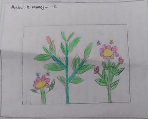 26286-EKM-KUNJ-AISVI K MANOJ.jpg