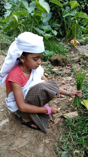 30222-16samoohyashasthram 2020-21.jpg