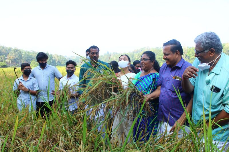 പ്രമാണം:37001 koithulsavam4.jpeg