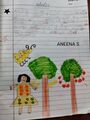 aneena