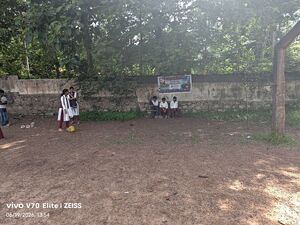 IMG 20260619 135423 Burst01-min.jpg