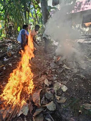 School cleaning -nss.jpg