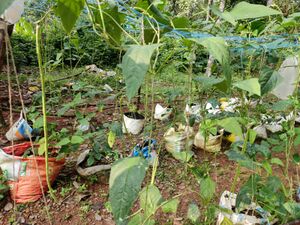 School photo 4jpeg.jpg