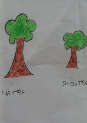 11256-KGD-KUNJ-Shaiz Aboobakkar.jpeg