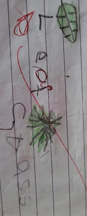 11360KGD-KUNJ-FATHIMA SHAHALA.jpg