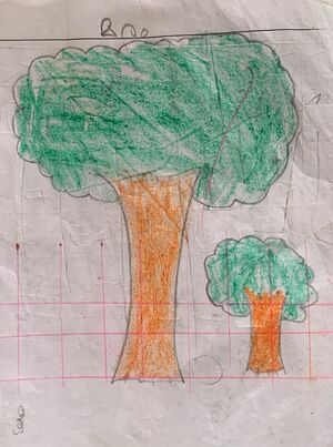 11431-KGD-KUNJ-AKSHITH M K.jpg