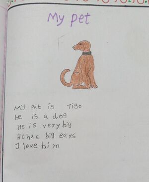 15439 WYD KUNJ-AYDHIN MUHAMMED.jpeg