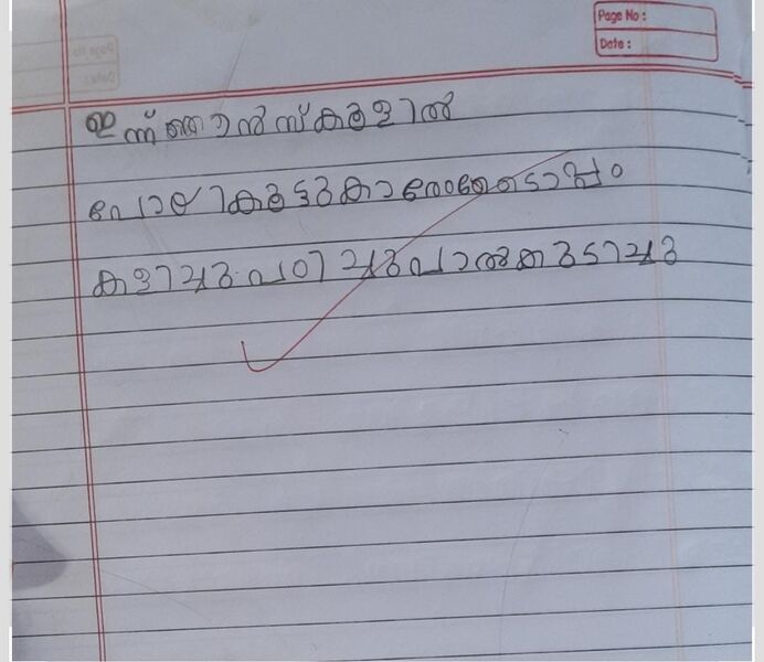 പ്രമാണം:18532-MLP-KUNJ-NAYEM AHMED.jpg