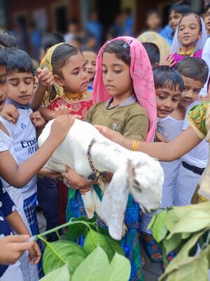 19809 basheerday6.jpg