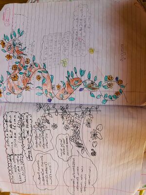 20213-pkd-KUNJ- DRISHYA NANDA.jpg