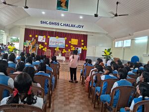 23008-little kites.jpg