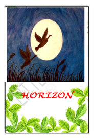 Horizon ---- സെന്റ് തെരെസാസ് ജി എച്ച് എസ് ബ്രഹ്മക്കുളം